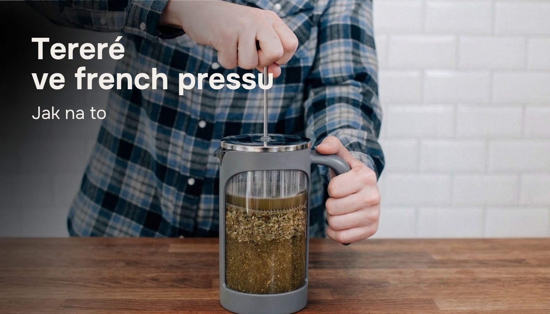 terere-ve-french-pressu-clanek